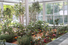 [영상]관악구, 도시농업 다목적 공간 강감찬 도시농업센터 개관