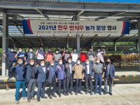 강릉 한우 명품화 추진…우량암소 농가에 분양