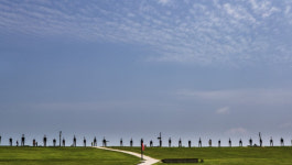 통일전망대~임진각 290km 통일걷기 6.15 맞춰 출발