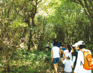체험도 휴양도 가능 제주 마을관광의 매력 그러나···