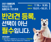울진군, 9월 말까지 동물등록 자진신고 기간 운영
