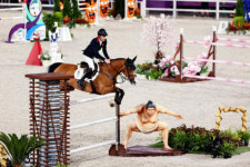 승마 경기장에 나타난 스모 선수? 말들 겁먹어[이슈시개]