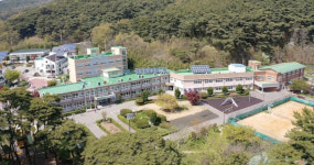 전교생 14명 학교, 야구부 만들어 살리자…덕적도 분투기