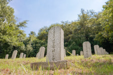 70년 만에 찾은 父···국군묘지 무덤 앞에서 뜨거운 눈물