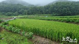 [단독]나는 임차인 윤희숙, 가족의 세종시 땅은 10억 차익