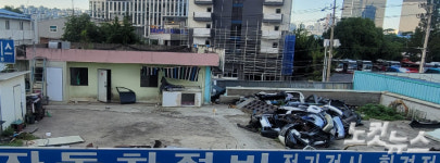 한두 마리 데려오다 어느새 13마리…감당 안 돼