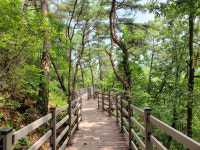 괴산군, 내년도 녹색자금 공모사업 선정…사업비 10억원 확보