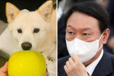 [영상]劉 늦은 시간에 집에 있는 개를 사무실로 데려가 사진? 尹처가 데려갔다