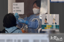 최근 1주간 국내발생 41% 증가…정부 부처 합동 특별점검
