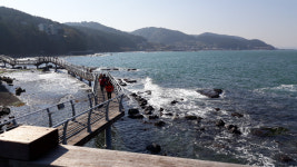 포항 호미반도 해안둘레길 걷기축제 13~14일 개최