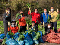 광주 동구 지원2동 직접 수확해 만든 반찬 드시고 건강하세요