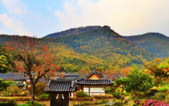 옻골마을, 홍보관 조성·산책길 정비…대구 대표 관광지로 주목