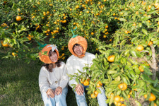 [영상]주부·청년 뭉친 제주 하효마을, 최고 관광지 되다