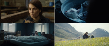 [노컷 리뷰]상실에 관한 기묘하고도 슬픈 우화 