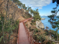 장흥 정남진 우산도 관광지 불빛정원으로 새단장