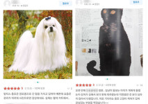 [단독]학대 의심 동물병원 피해 리뷰는 사라지고 칭찬만 남아