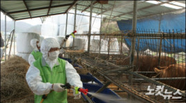 축산관련 단체, 축산농가 방역규제 강화에 반발…개정안 철회 요구
