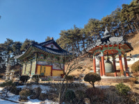 동시에 자취 감춘 건진법사와 주변들…스승도 잠적·홈페이지 줄폐쇄