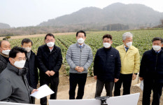 전남도-농식품부, 겨울배추 수급 현지 점검벌여