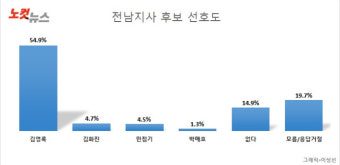 전남도지사 선거, 김영록 현 지사 '독주'
