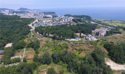 동해시, 북평중~봉오마을 간 도로개설…상습정체 해소
