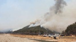 울진 산불 죽변·울진읍으로 남하…호월·정림·상당리 대피령