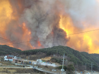 '울진·삼척 산불' 축구장 1만 2천개 규모 '잿더미'…주민 대피령