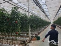 러-우 전쟁에 기름값 폭등 농민들 한숨