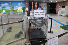 대전충남녹색연합 대전 아쿠아리움·오월드 사육환경 개선 절실