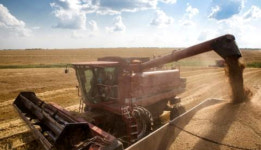 밀값이 금값…칼국수.냉면값도 덩달아 최고