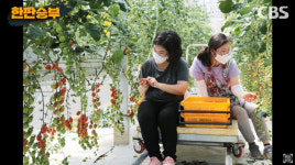 발달장애인 스마트팜 일자리, 지자체에 강추합니다[한판승부]