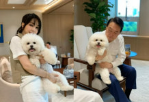 윤석열·김건희, 주말 용산 대통령실 댕댕이 나들이