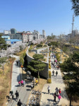 하루 3만명 걷는 이곳은?…포항 철길숲 인생 맛길 자리매김