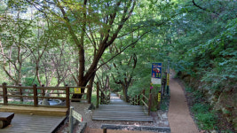 미슐랭 별 만점의 자태 휘감은 산들길 진안 마이산길[전라북도 천리길]