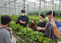 전남도 스마트팜 청년창업 교육 인기..52명 모집에 105명 지원