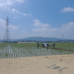 포항 남구청, 연일·대송 항공방제 자동드론방제 실시