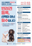 대전시, 8월 말까지 반려동물등록 자진신고 기간 운영