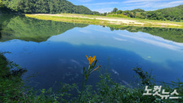 낮에는 강수욕 밤에는 반딧불, 여름휴가 PICK 무주 예향천리 금강변마실길 1코스[전라북도 천리길]