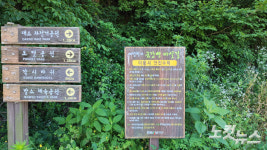 낮에는 강수욕 밤에는 반딧불, 여름휴가 PICK 무주 예향천리 금강변마실길 1코스[전라북도 천리길]