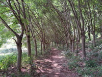 용담호 풍경과 섬바위의 만남 진안 용담댐 감동벼룻길[전라북도 천리길]