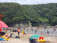 색다른 매력에 풍덩…휴가철 인파 몰린 다대포·송도해수욕장