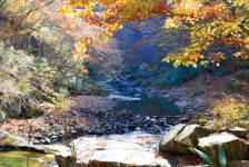 無더위, 無여름, 시원한 청량감 장수 방화동 생태길[전라북도 천리길]