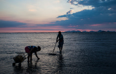 세계유산전문가, 고창 람사르 갯벌 방문