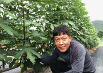 전남도, 8월 친환경농산물에 무화과 선정