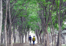 [수도권 주요 뉴스]시흥 배곧한울공원~곰솔누리숲…10대 플로깅 코스