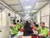 충남금산지역자활센터, 제40회 금산인삼축제 홍보 적극 참여