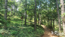 호수와 청암산, 대나무숲으로 만나는 가을의 문턱 군산 구슬뫼길[전라북도 천리길]