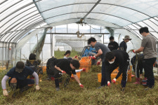 경북문화관광공사, 태풍 피해 복구 지원 나서