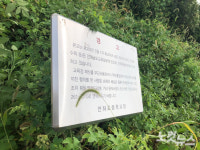 20여년 간 41개 학교 문닫은 신안…공공인프라 길게 보고 심어야[영상]