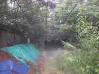 편백나무숲과 냉풍굴의 바람 따라 걷는 김제 금구 명품길[전라북도 천리길]